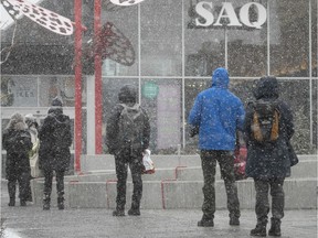 Customers brave the snow outside the Jean-Talon Market's SAQ outlet in the early days of the pandemic.