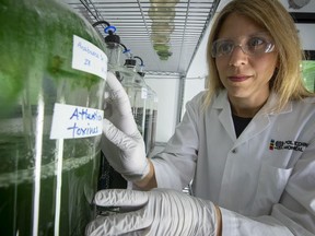 Sarah Dorner, a professor at Polytechnique Montréal, has been helping to sample wastewater throughout Quebec to test for COVID-19.