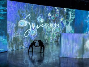 For this exhibition, projected images cover not only walls but every surface of the room. SUPPLIED