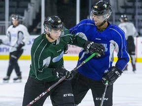 Logan Mailloux, in green, jostles with a teammate at London Knights training camp in 2019. The Ontario Hockey League announced Wednesday that Mailloux has finished serving a suspension that started in the fall for sharing an intimate photo of a woman without her consent while playing pro hockey in Sweden in November 2020. (Derek Ruttan/The London Free Press)