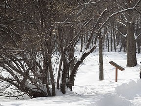 The Morgan Arboretum, a 245-hectare forest reserve, has a trail network open for walking and running, as well as snowshoeing and cross-country skiing. For more info, visit www.mcgill.ca/morganarboretum.