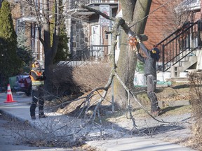 A worker clears branches from a power line in Montreal, Sunday, Dec. 12, 2021, following high winds which left thousands without power.