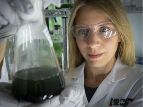 Sarah Dorner, a professor in the department of civil, geological and mining engineering at Polytechnique Montréal, led a team that conducted a six-month pilot project monitoring wastewater for COVID-19.
