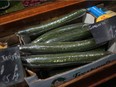 Cucumbers wrapped in plastic package are on display on a grocery stall in Paris, Friday, Dec. 31, 2021. As of Jan. 1, leeks and carrots, tomatoes and potatoes, apples, pears and about 30 other items, including cucumbers, are no longer sold in plastic.