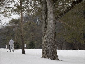 A woman sets out for a ski along the trails at the Beaconsfield Golf Club on Tuesday.