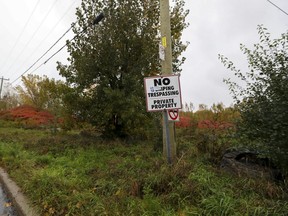 A wooded area bordering the west side of Fairview Ave. in Pointe-Claire was included in an interim control bylaw tabled last week by the Communauté métropolitaine de Montréal.