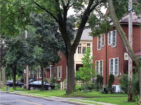 If leafy streets are important to you, you can use Google maps to see which areas have more greenery.