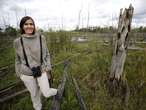 "We know that scientists can't be everywhere at once, so this is a way for regular people to contribute to citizen science," says Katherine Collin of the Technoparc Oiseaux, seen here on Oct. 1, 2021, on wetlands in the Technoparc. "We have an operating principle that people who get out and observe nature develop a connection to it and want to conserve it. So ... (the City Nature Challenge) serves the interests of science, but also conservation."