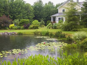 Upon arrival at the property, it's easy to mistake the large swimming pond with its sandy beach for a small lake.