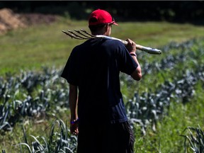 Labour Minister Jean Boulet said temporary foreign workers, usually employed on a seasonal basis in the agriculture sector, have the same rights as any other employee.