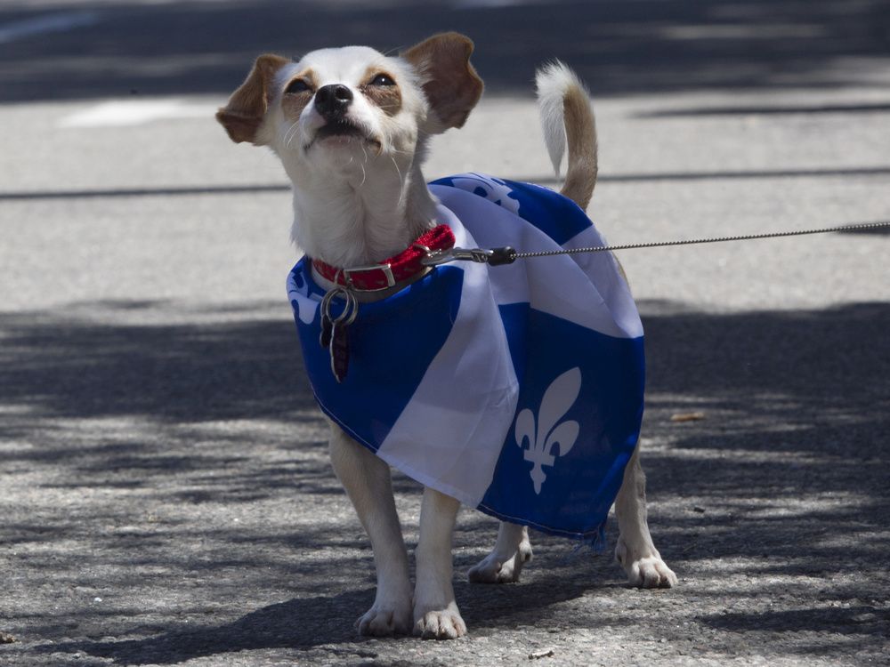 Josh Freed: We love Quebec, so why does Quebec see us as a threat?