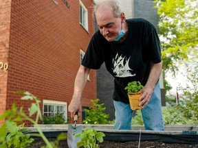 Old Brewery Mission clients can do many activities, such as starting a garden.