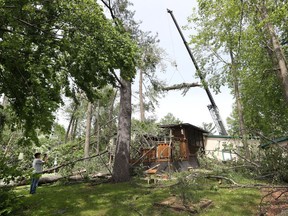 A late May wind storm that toppled power lines and trees, and damaged homes caused more than $875 million in insurable damage in Ottawa, southern Ontario and Quebec.