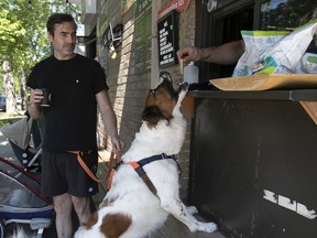 Iggy jumps for treats at the take-out window at Cafe Vito while dog owner Christian Aubin enjoys his morning coffee on Saturday June 25, 2022.
