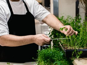 Executive chef Jason Williams focuses on the freshness of the farm-to-table concept at Treadwell Cuisine.