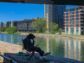 Beating the heat under an overpass while fishing on the Lachine Canal.