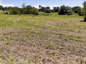Politicians join the call for federal government to preserve Technoparc wetlands 2 A radar dome rises above Golf Dorval, rear, and the razed Monarch Fields on Aéroports de Montréal land in Dorval, west of Montreal, Monday July 4, 2022.
