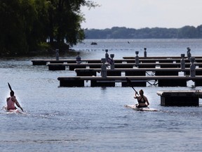 Paddlers from the Lachine Canoe Club train Friday in the area where hundreds of boats used to be docked. Borough mayor Maja Vodanovic said she isn't opposed to having places for a few boats under a new plan for the former Lachine Marina, but not the same number as before, and not in the same spot.