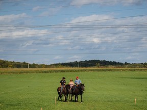 Riders in a field just outside during the St-Tite Western Festival Sept. 15, 2015.
