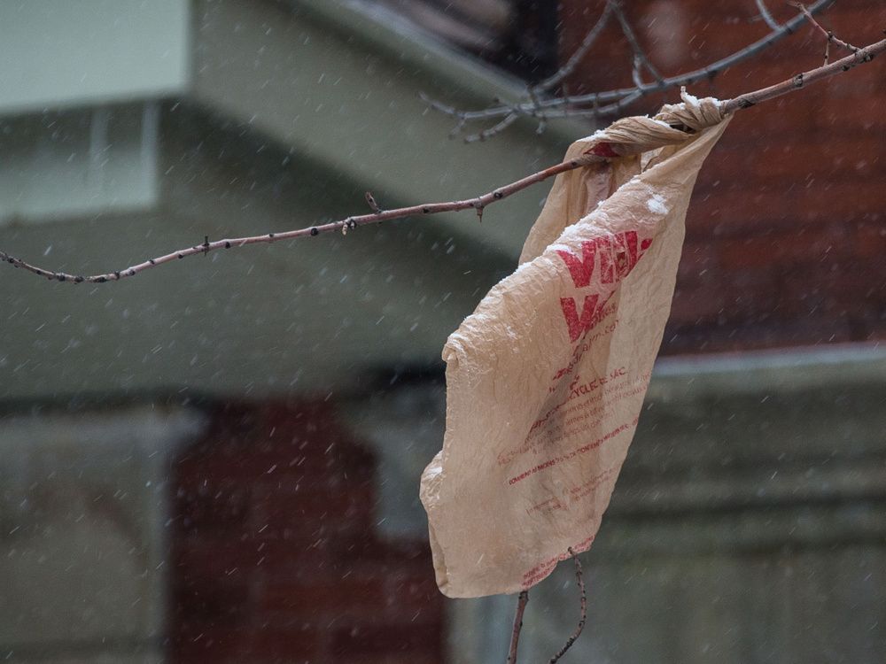FAQ Everything you need to know about Montreal's plasticbag ban