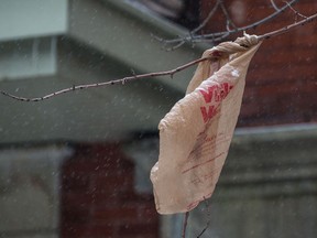 Montreal retailers may not distribute single-use plastic bags, no matter the thickness.