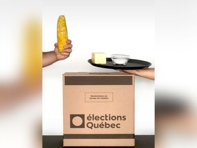 An Élections Québec ad that jumps on a TikTok trend has been viewed more than 100,000 times since it was launched this week.