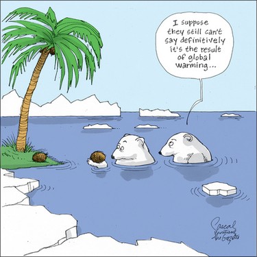 Polar bears puzzling over global warming.