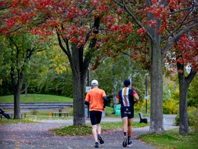 Runners head under a tree with leaves changing colour in borough Oct. 7, 2022.