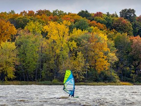 Changing leaves provide a backdrop for windsurfers off the Anse-à-l'Orme Nature Park in Pierrefonds-Roxboro on October 7, 2022.