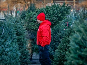 Picking out a Christmas tree at the Atwater Market in 2021. The holiday shopping season is expected to start earlier this year, with six out of 10 survey respondents saying they intend to spend more time looking for sales.