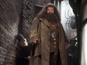 Robbie Coltrane as Hagrid in Warner Bros. Pictures' Harry Potter and the Chamber of Secrets.