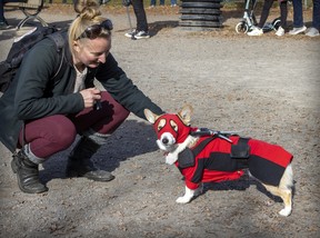 Shannon Maguire made a Deadpool costume for her Corgi, Cannelle, for Pawsome Club MTL's Halloween costume party at Sir Wilfrid Laurier Park on Oct. 29, 2022.