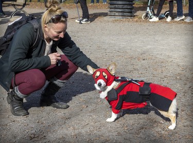 Shannon Maguire made a Deadpool costume for her Corgi, Cannelle, for Pawsome Club MTL's Halloween costume party at Sir Wilfrid Laurier Park on Oct. 29, 2022.