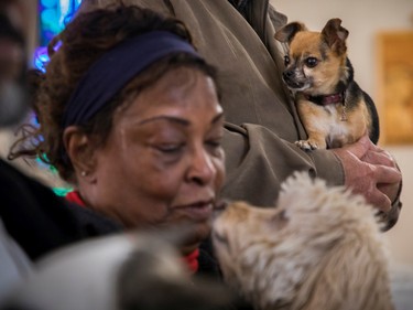 A dog named Palou looks around as Ranee Lee looks at her dog Cali at a Blessing of the Animals event at Sainte-Catherine-de-Sienne church in Notre-Dame-de-Grâce on Sunday, Oct. 2, 2022.