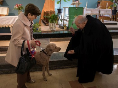 Sainte-Catherine-de-Sienne parish priest Jean-Pierre Couturier blesses Romeo, with Maria, at a Blessing of the Animals event at the church in Notre-Dame-de-Grâce on Sunday, Oct. 2, 2022.
