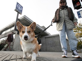 Montreal Gazette reporter Katelyn Thomas with her dog, Leo, outside the Charlevoix métro station on Saturday, Oct. 15, 2022. Saturday was the first day all dogs were allowed in the métro.