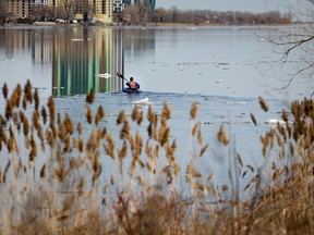 A kayaker paddles on Rivière des Prairies last April. "Biodiversity loss — not least of all in freshwater ecosystems — is one of the most consequential environmental issues facing humanity," Anthony Ricciardi writes.