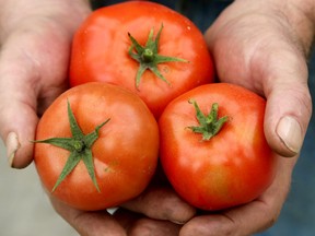 "I can still see the repurposed hockey sticks holding up the tomato plants and beanstalks," Ralph Mastromonaco writes.