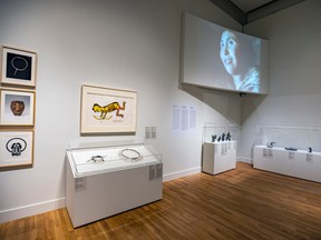 One of the exhibition spaces of Tusarnitut!, Music born from the cold, at the Montreal Museum of Fine Arts.
