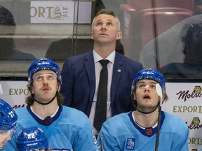 Montreal Canadiens head coach Martin St. Louis and forwards Michael Pezzetta, left, and Jake Evans view a replay after St. Louis challenged a goal by New Jersey Devils' Tomas Tatar for offside during third period in Montreal on Nov.15, 2022.