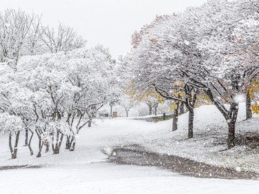 Parc Dieppe during Montreal's first snowfall of the year on Nov. 16, 2022.