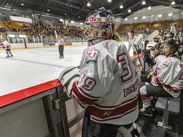 Montreal Force's backup goalie Marie-Soleil Deschênes watches the second period of the Force's first Premier Hockey League home game against the Metropolitan Riveters in Verdun on Saturday, Nov. 26, 2022.