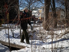 MONTREAL, QUE.: NOVEMBER 22, 2022 — Frances Foster walks through Gorilla park in Mille End on Tuesday November 22, 2022. The city of Montreal announced a $10 million project to create a park on the land know as Gorilla Park.