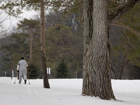 A woman sets out to ski along the trails at the Beaconsfield Golf Club in Pointe-Claire last February.