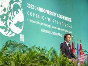 Prime Minister Justin Trudeau speaks to COP15 in Montreal on Tuesday December 6, 2022