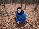 Dylan Rawlyk, director of education and conservation at Les amis de la montagne, with one of about 1,000 red oak saplings planted on Mount Royal this fall.