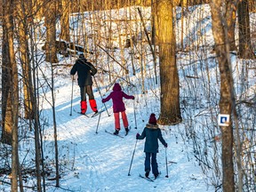 Cross-country ski trails, a snowshoe trail, and a tubing/toboggan hill await at Mount Royal Park. Ski equipment and snowshoes can be rented.