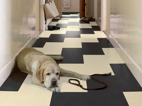 Marmoleum flooring, a modern form of linoleum, is now being made by a Swiss company, Forbo.