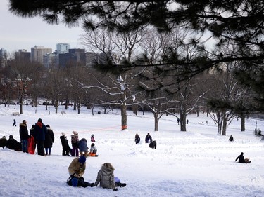 People enjoy a mild and sunny day while tobogganing at King George Park in Westmount, on Thursday, Dec. 29, 2022.