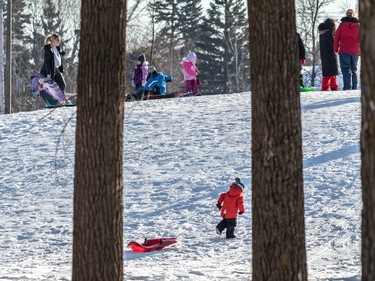 Families took advantage of the +4 degrees Celsius to get a little tobogganing in at Angrignon Park in LaSalle on Thursday Dec. 29, 2022.